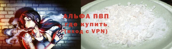 стаф Волоколамск