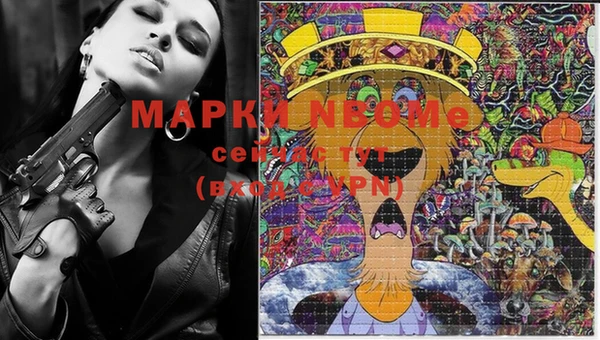 стаф Волоколамск