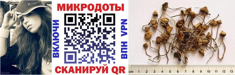 хочу наркоту  Карабулак  Псилоцибиновые грибы Magic Shrooms 